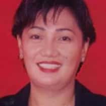 mary mei