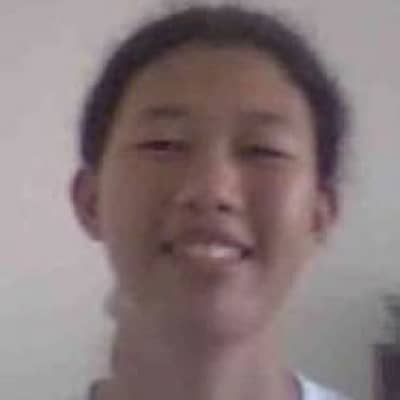 meshyl