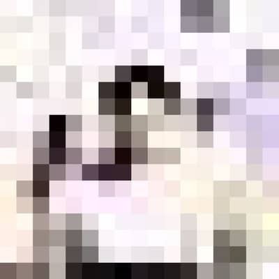 albert
