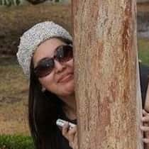 lexy