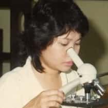 evelyn