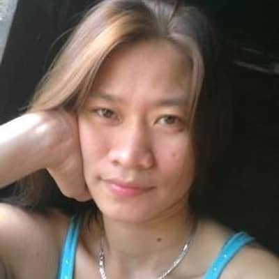 haidy