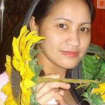 zenaida