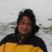 rolly