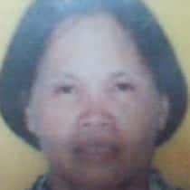 yolly