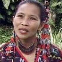 maria todi wanan