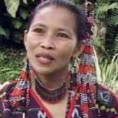 maria todi wanan