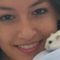 celsa