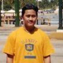 windel v.