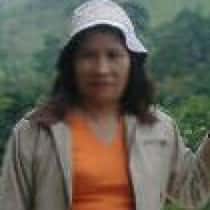 wilma