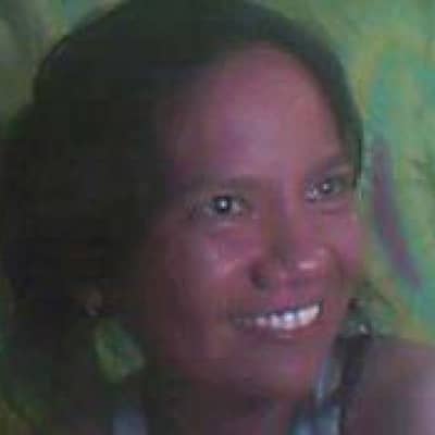 analyn