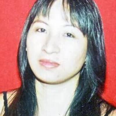 analiza