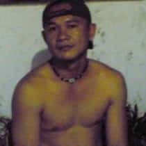 herbert