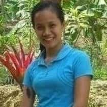 jessel