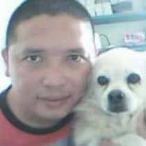 noly