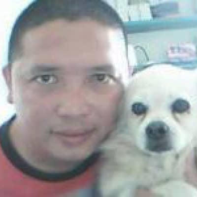 noly