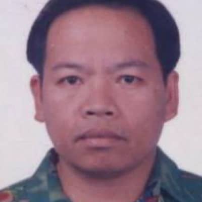 alfredo