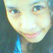 levy