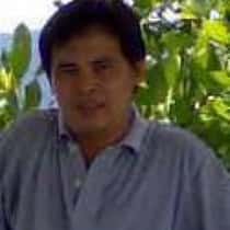 delfin