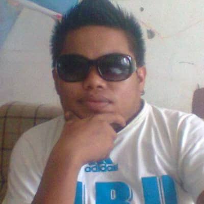 Lim291