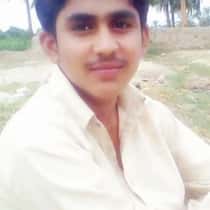 aligul