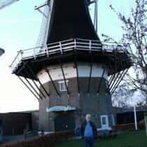 Rietvogel