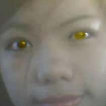 lliesel