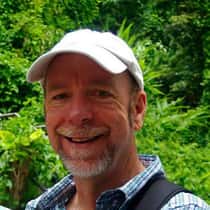 limosa
