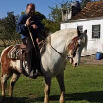 gauchousa1000
