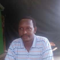 olenyangusi
