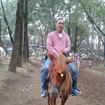 nestor1021