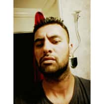 zed