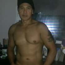 thaidaica