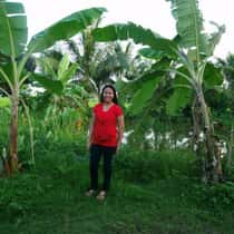 analin