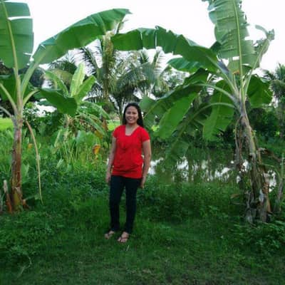 analin