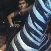 ronniel