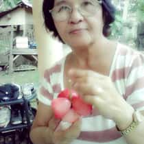 margie