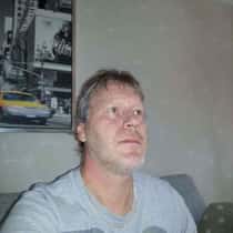 david