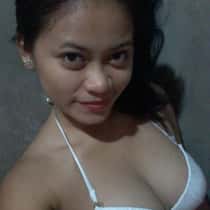 Briecel