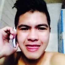 david