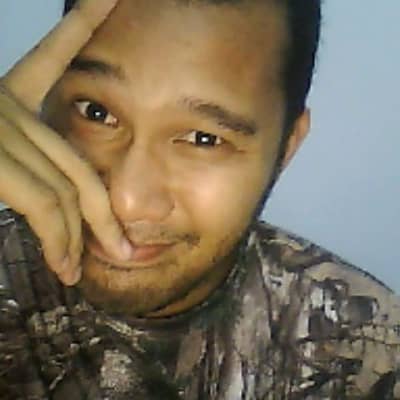 Wolfgangv