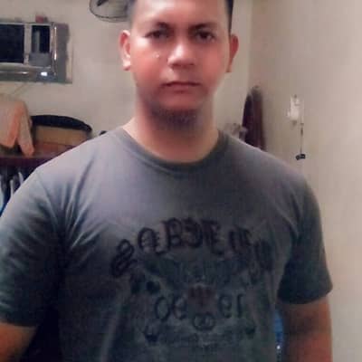 vince salva