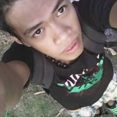 rogie