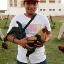 kyle tristan