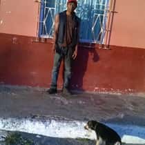 romey Neil