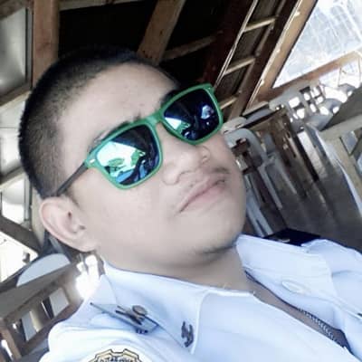 bibo