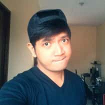 Vinser