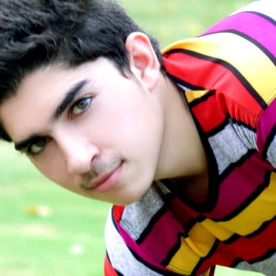 SAIM