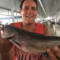 Bennfishing