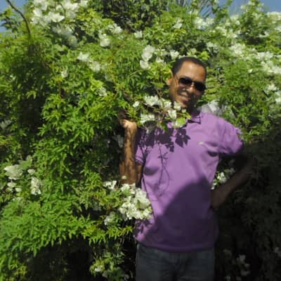 ashraf basm